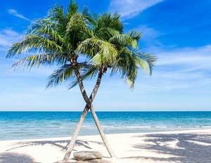 ��܎t�]�E�T�C�g�̂���ȃR���T���^���g�͌����I����ɂȂ�R���T���^���g�Ƃ́H