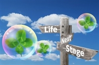 ���N�i�r��܎t�œ]�E�������z