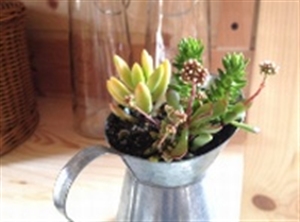 ��܎t���l�T�C�g���Ăǂ�ȃT�C�g�Ȃ�?