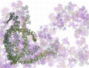 ���������܎t�̋��l���Ō��؂��ĉ���