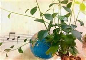 �����Ȃ���̓]�E�͓���H